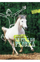 Le fils de flicka