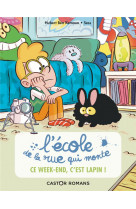 L'ecole de la rue qui monte - t02 - ce week-end, c'est lapin !