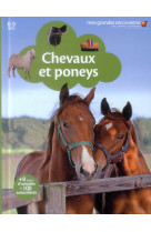 Chevaux et poneys