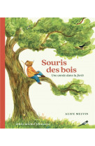 Souris des bois - une année dans la forêt