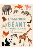 L'imagier geant du pere castor - les bebes animaux