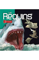 Les requins