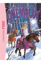 Mes amis les chevaux - sophie thalmann - t15 - mes amis les chevaux 15 - lulu a disparu !