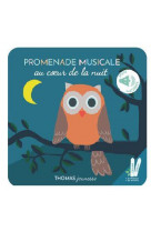 Promenade musicale au coeur de la nuit, livre musical a toucher sonore