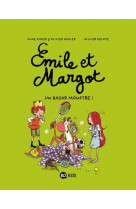 Emile et margot, tome 03 - un bazar monstre