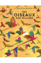 Des oiseaux par milliers