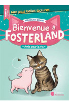 Bienvenue à fosterland ! - amis pour la vie