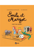 Emile et margot, tome 11 - c'est pas gagne !