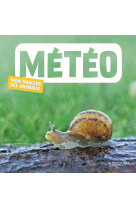 Météo