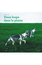 Deux loups dans la plaine