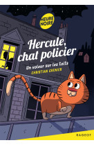 Hercule chat policier : un voleur sur les toits
