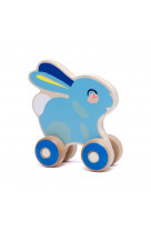 Bunny push toy