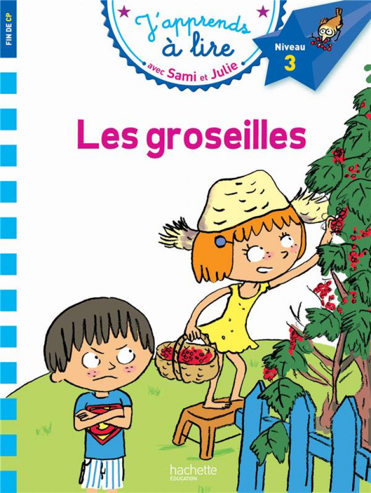 SAMI ET JULIE CP NIVEAU 3 LES GROSEILLES - MASSONAUD/BONTE - Hachette Education