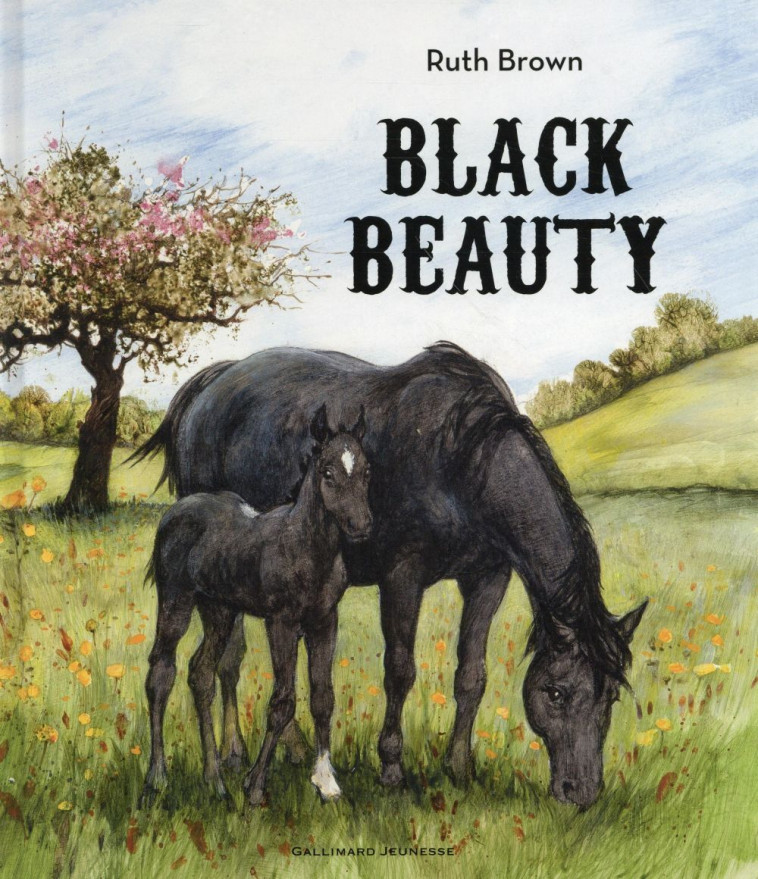 BLACK BEAUTY - BROWN RUTH - Gallimard-Jeunesse
