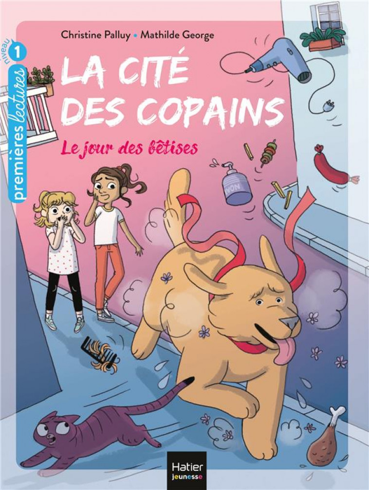 LA CITE DES COPAINS - T09 - LA CITE DES COPAINS - LE JOUR DES BETISES GS/CP 5/6 ANS - PALLUY/GEORGE - HATIER SCOLAIRE