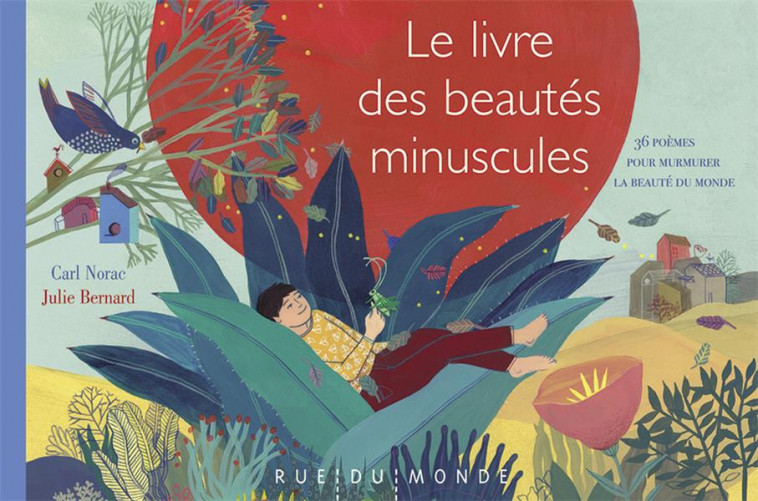 LE LIVRE DES BEAUTES MINUSCULES - NORAC/BERNARD - RUE DU MONDE