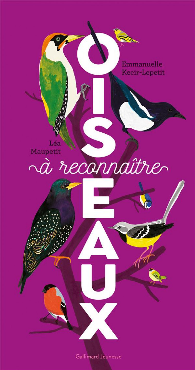 OISEAUX A RECONNAITRE - KECIR-LEPETIT - GALLIMARD