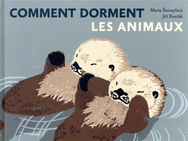COMMENT DORMENT LES ANIMAUX - STUMPFOVA/DVORAK - BOOKS ON DEMAND