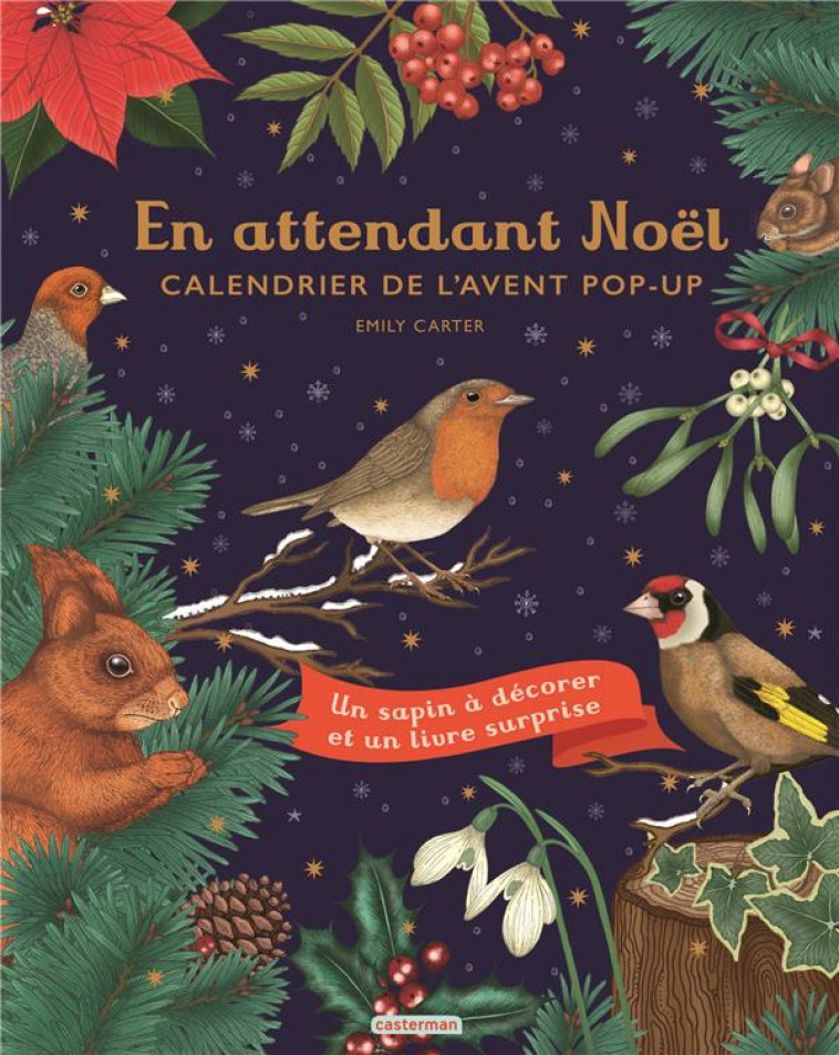 EN ATTENDANT NOEL - CALENDRIER DE L-AVENT POP-UP - CARTER EMILY - CASTERMAN