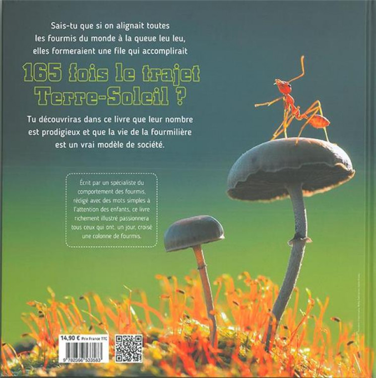 LE MONDE FASCINANT DES FOURMIS - PASSERA LUC - Grenouille éditions