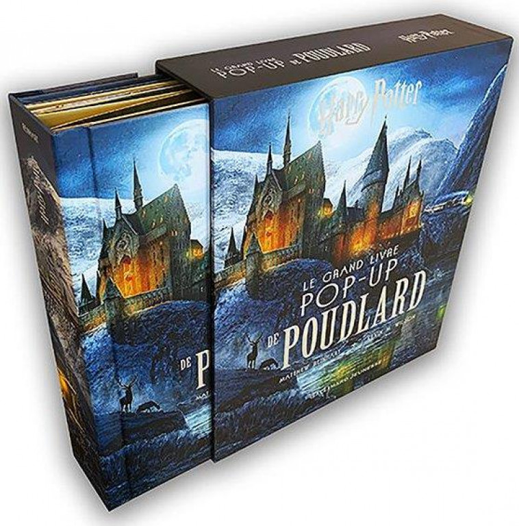 HARRY POTTER : LE GRAND LIVRE POP-UP DE POUDLARD - REINHART  - GALLIMARD