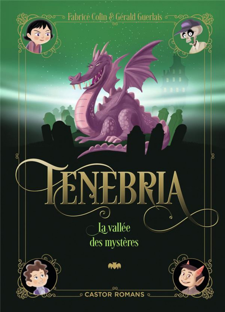 TENEBRIA - VOL03 - LA VALLEE DES MYSTERES - GUERLAIS/COLIN - FLAMMARION