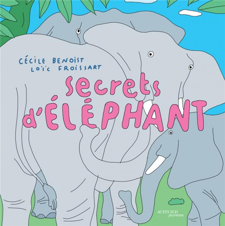 SECRETS D'ELEPHANT - BENOIST/FROISSART - ACTES SUD