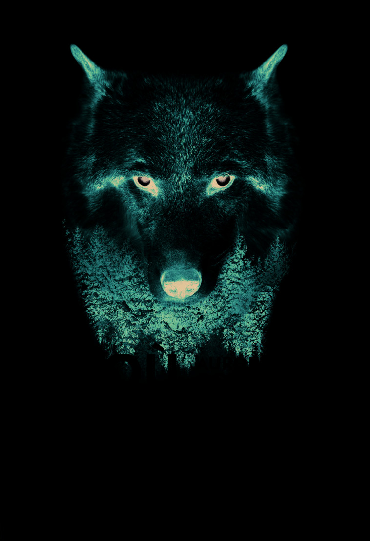 Où le loup demeure - Aurore Gomez - MAGNARD