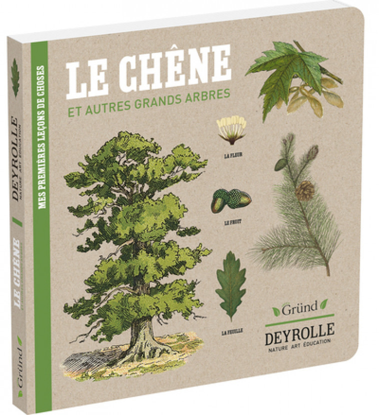 Le Chêne et autres grands arbres - Deyrolle - Caroline Pélissier, Virginie Aladjidi, Deyrolle Deyrolle - GRUND
