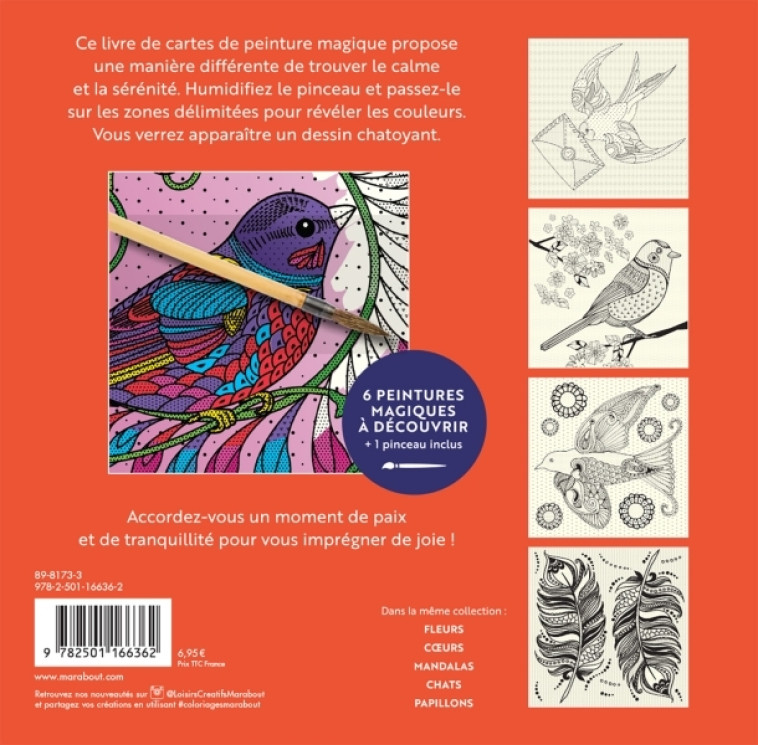 Peinture magique Oiseaux -  PEINTURE MAGIQUE - MARABOUT