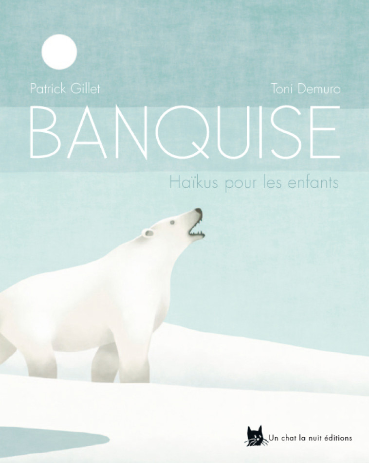 Banquise - Patrick Gillet - UN CHAT LA NUIT