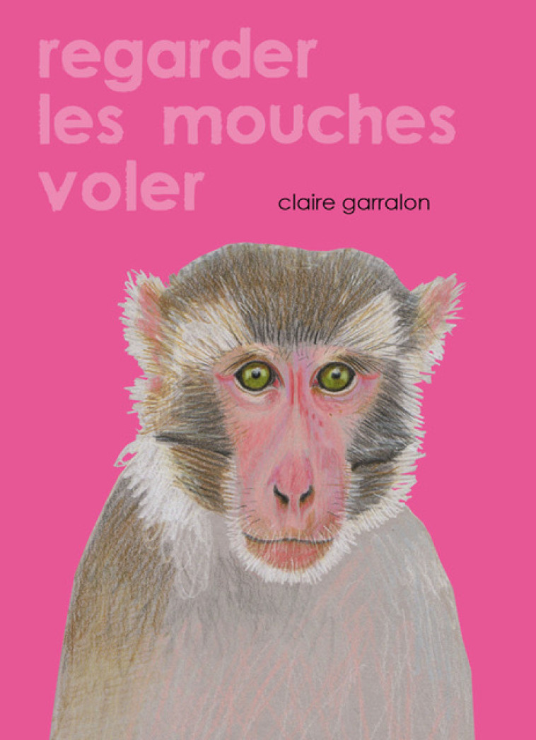 Regarder les mouches voler - Claire Garralon - A PAS DE LOUPS