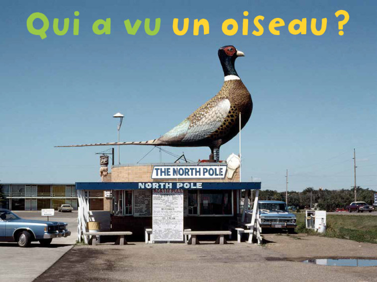 Qui A Vu Un Oiseau ? - Remi Noel - POETRY WANTED