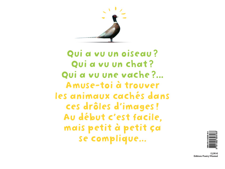 Qui A Vu Un Oiseau ? - Remi Noel - POETRY WANTED