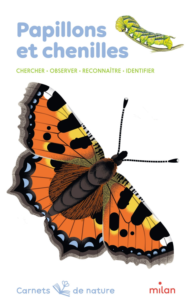 Papillons et chenilles - Léon Rogez, Anne Eydoux, Lucie Brunellière - MILAN