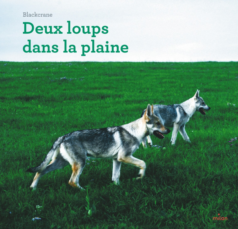 Deux loups dans la plaine -  BlackCrane, Annie Li - MILAN