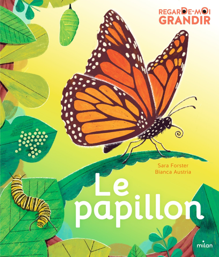 Regarde-moi grandir : le papillon - Sara Forster, Bianca Austria, Pierre-Yves Raoult - MILAN