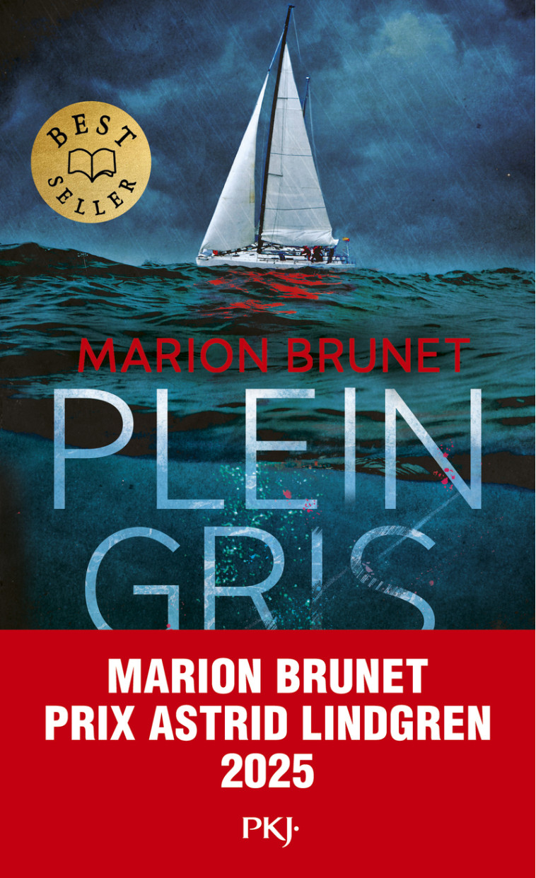 Plein Gris - Marion Brunet - POCKET JEUNESSE