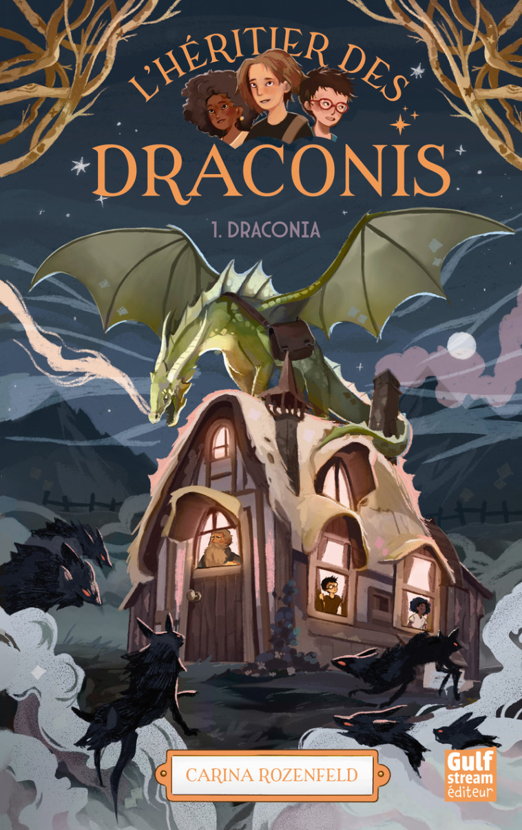 L'Héritier des draconis - Nouvelle édition - Tome 1 Draconia - Carina Rozenfeld, Lucile Leca - GULF STREAM